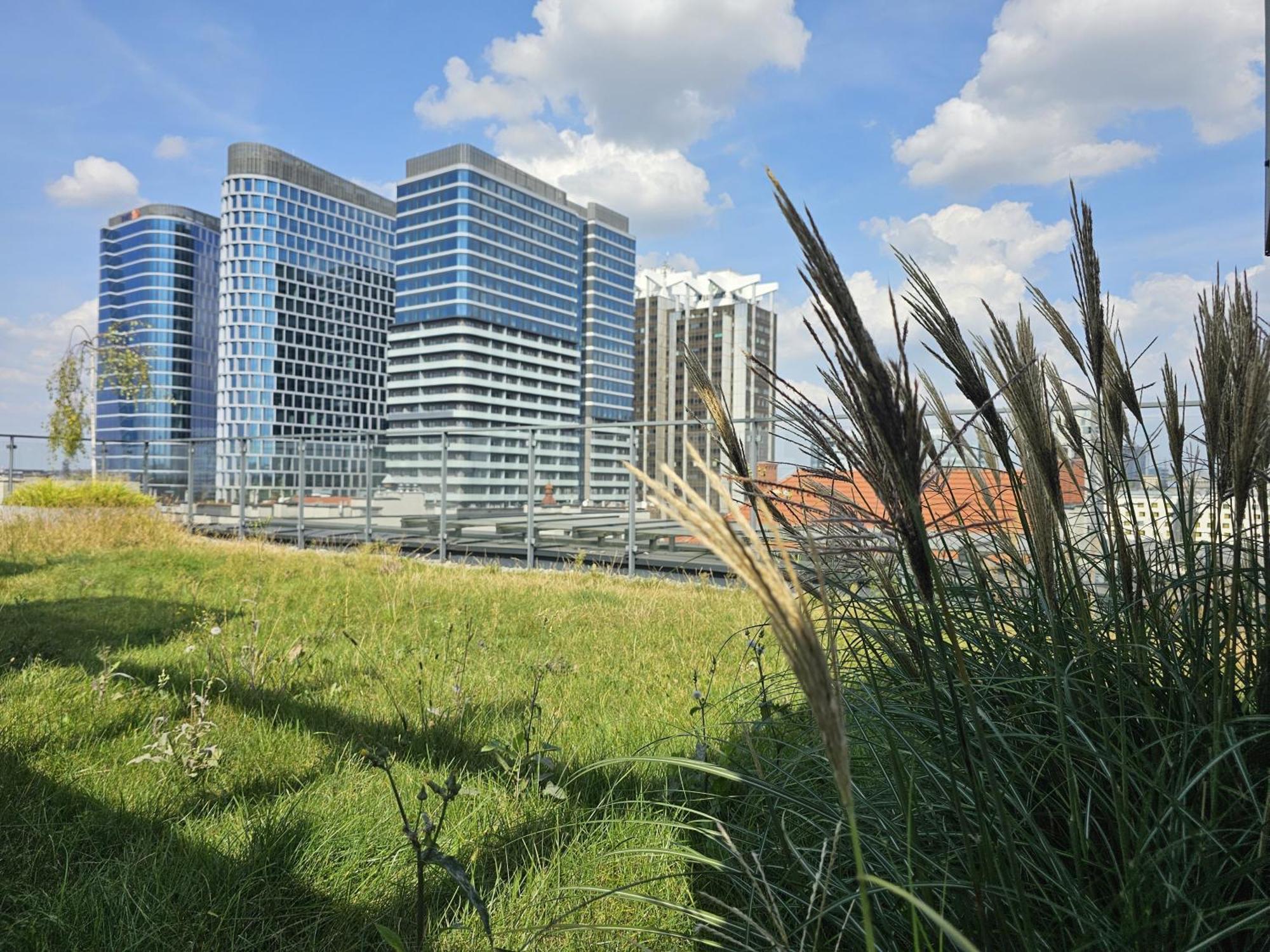Urban Apartments Premium, Opolska 10 No 89, Free Garage, Self Check-In 卡托维兹 外观 照片